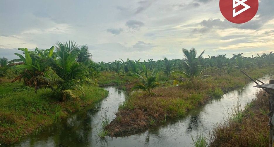 For sale land in Wat Phleng, Ratchaburi