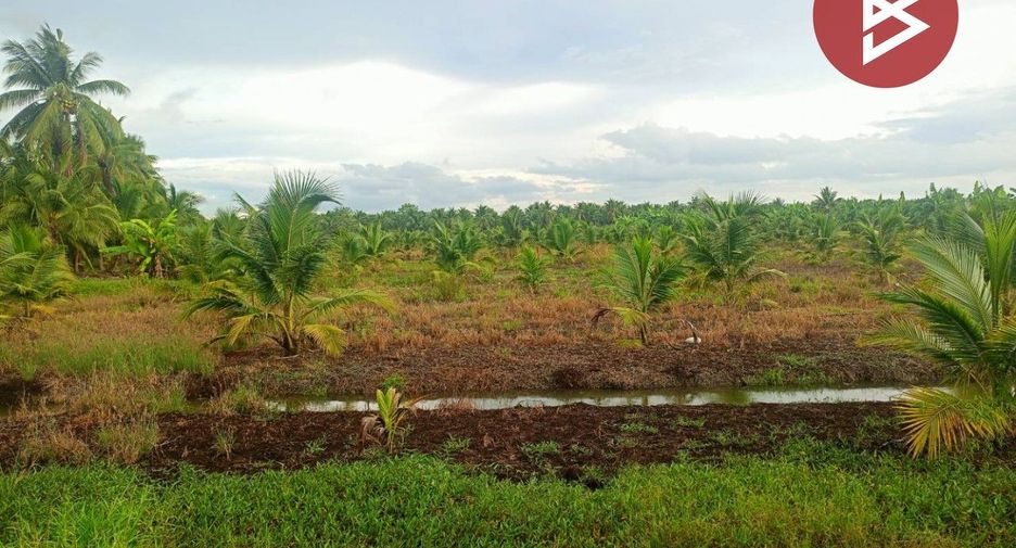 For sale land in Wat Phleng, Ratchaburi