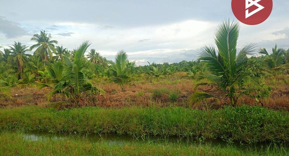 For sale land in Wat Phleng, Ratchaburi