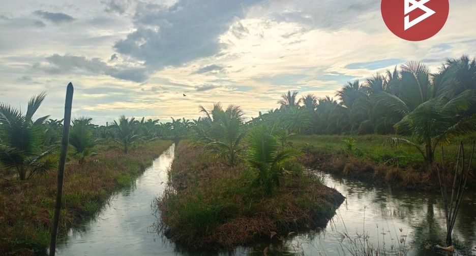 For sale land in Wat Phleng, Ratchaburi