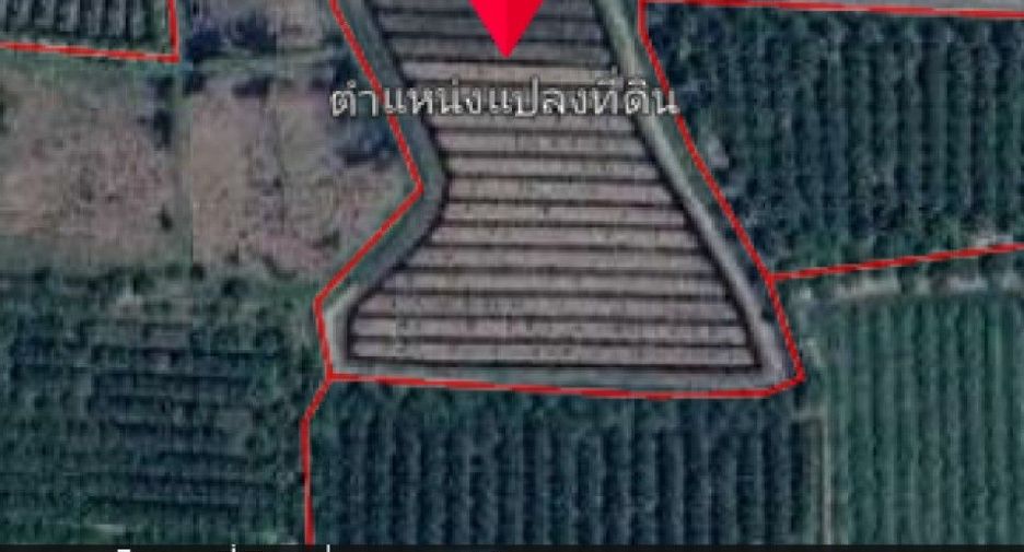 For sale land in Wat Phleng, Ratchaburi