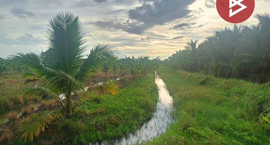 For sale land in Wat Phleng, Ratchaburi