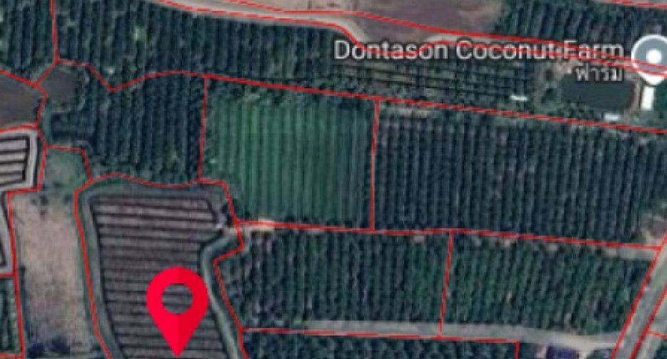 For sale land in Wat Phleng, Ratchaburi