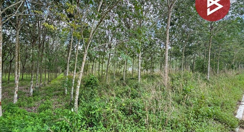 For sale land in Wang Chan, Rayong