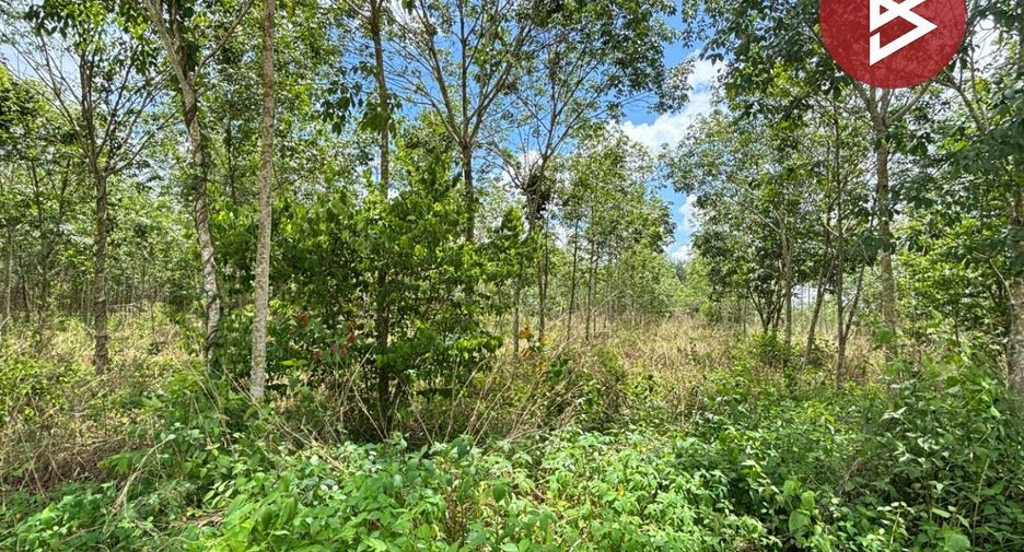 For sale land in Wang Chan, Rayong