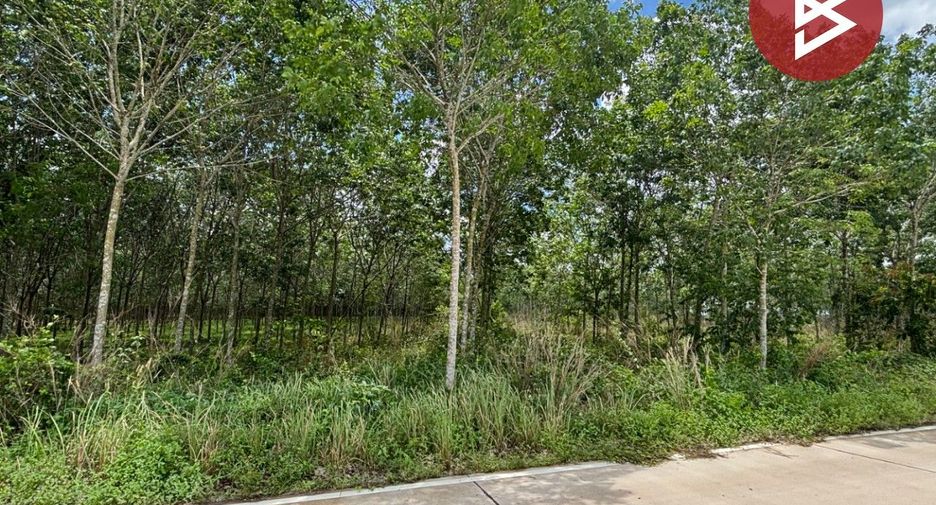 For sale land in Wang Chan, Rayong