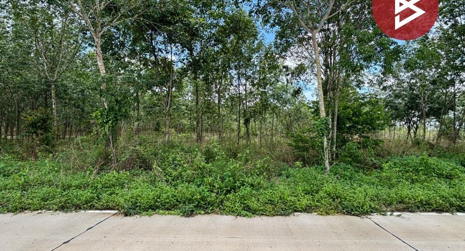 For sale land in Wang Chan, Rayong