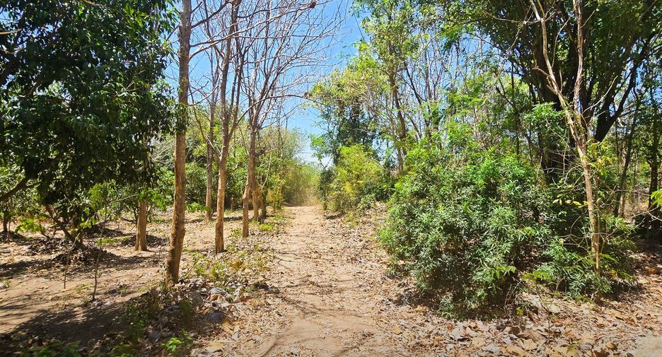 Продажа Участок в Pran Buri, Прачуапкхирикхан
