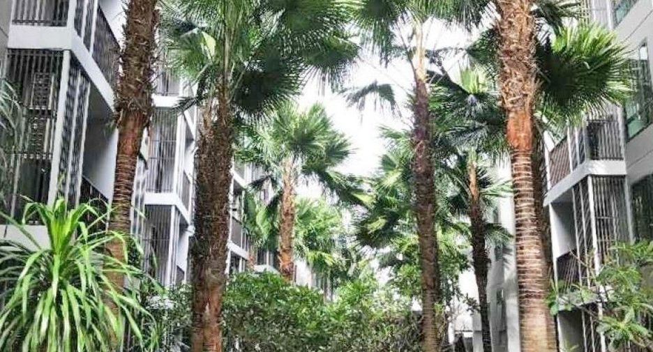 For rent and for sale 1 bed condo in Mueang Nonthaburi, Nonthaburi