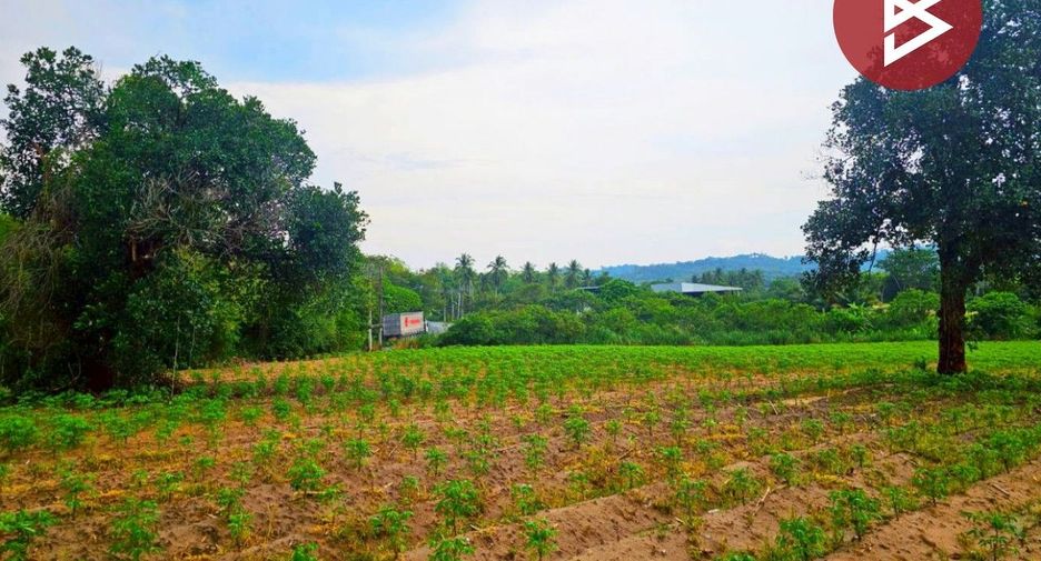 For sale land in Si Racha, Chonburi