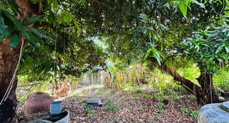 For sale land in Si Racha, Chonburi