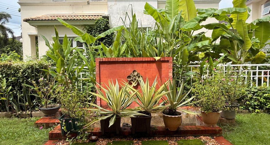 For rent 3 bedrooms house in San Sai, Chiang Mai