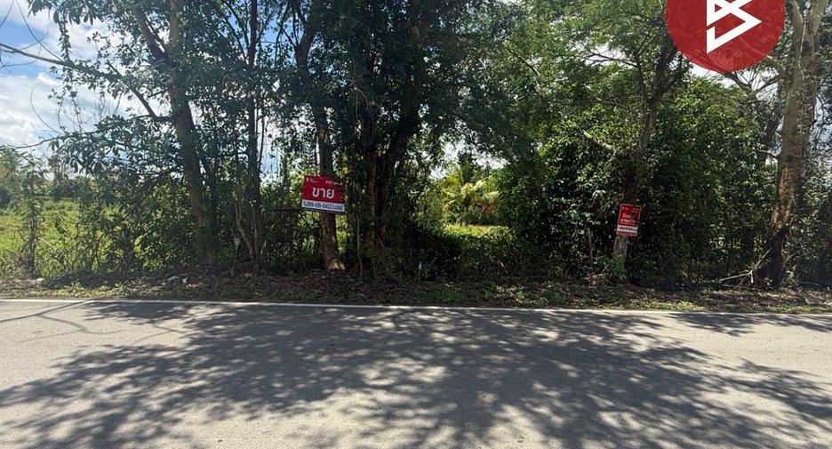 For sale land in Mae Rim, Chiang Mai