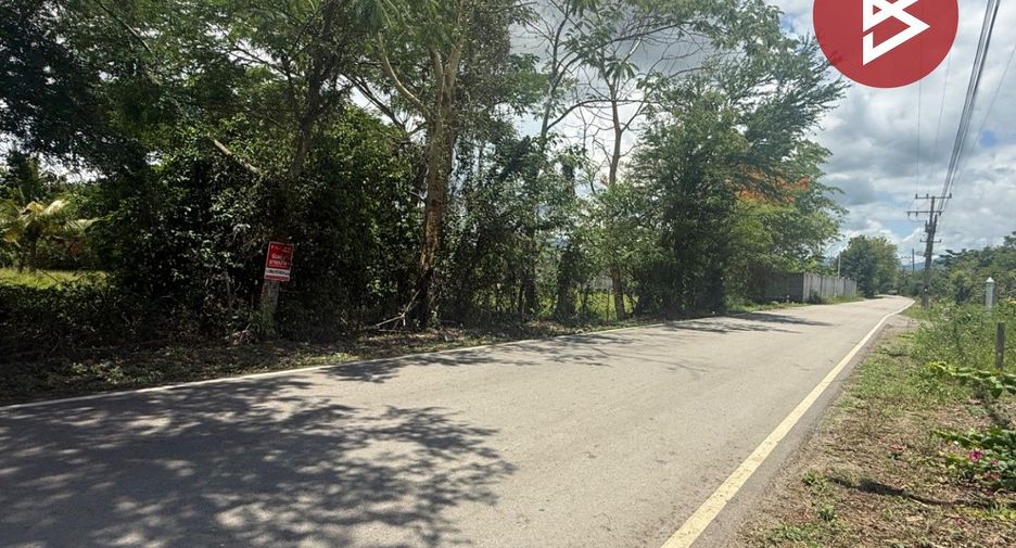 For sale land in Mae Rim, Chiang Mai