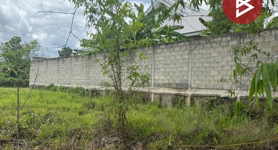 For sale land in Mae Rim, Chiang Mai