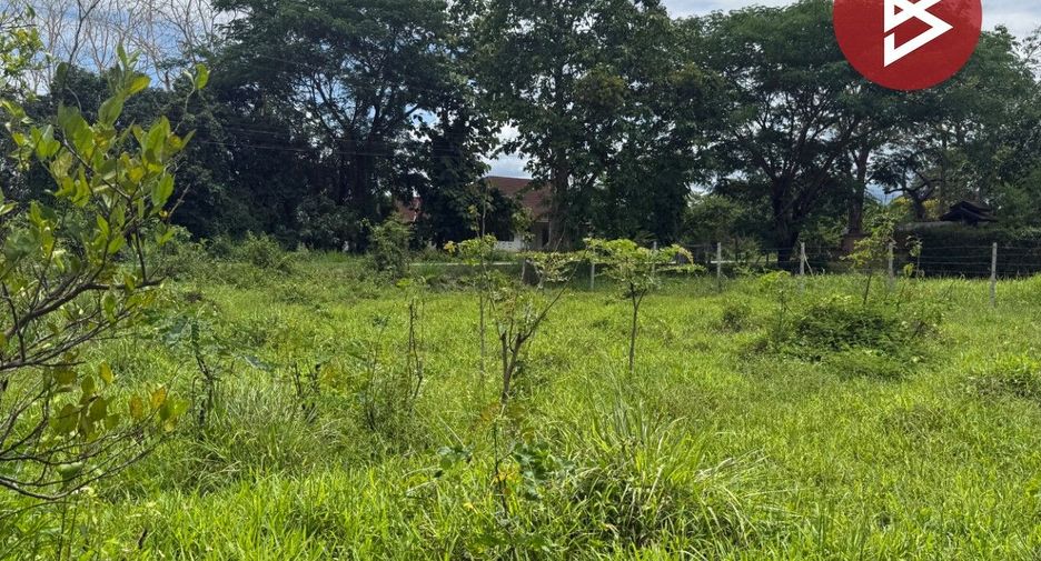 For sale land in Mae Rim, Chiang Mai