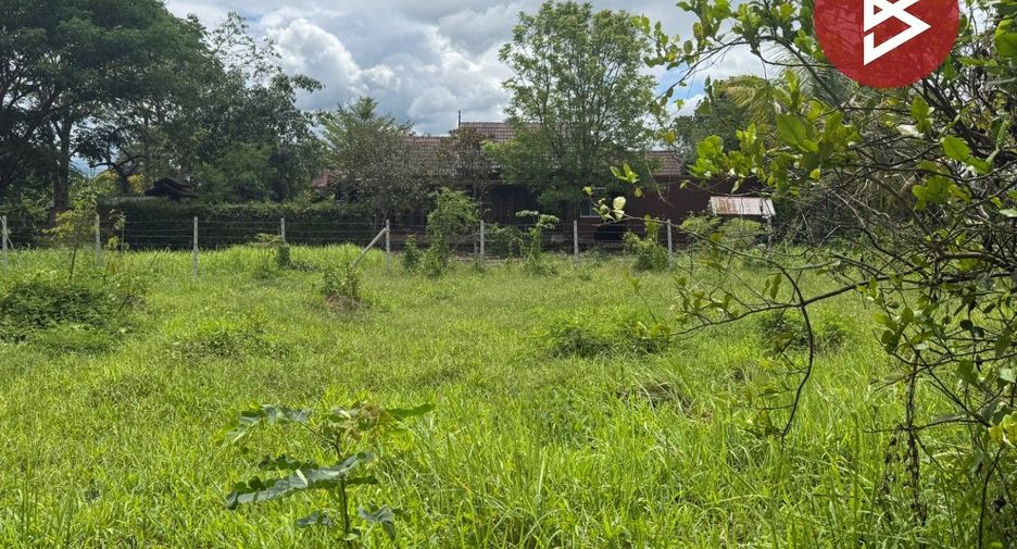 For sale land in Mae Rim, Chiang Mai
