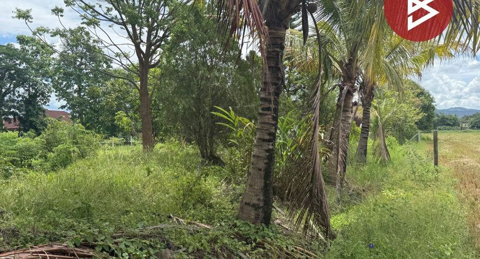 For sale land in Mae Rim, Chiang Mai