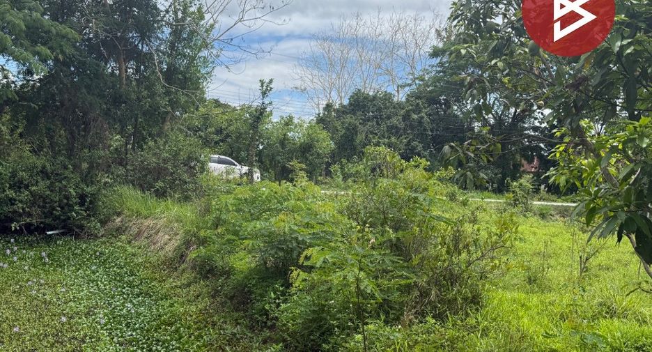 For sale land in Mae Rim, Chiang Mai