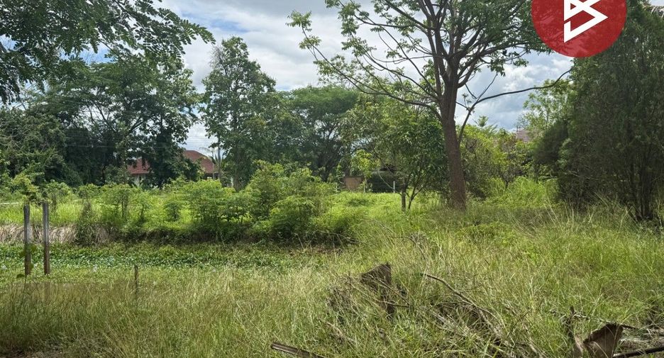 For sale land in Mae Rim, Chiang Mai