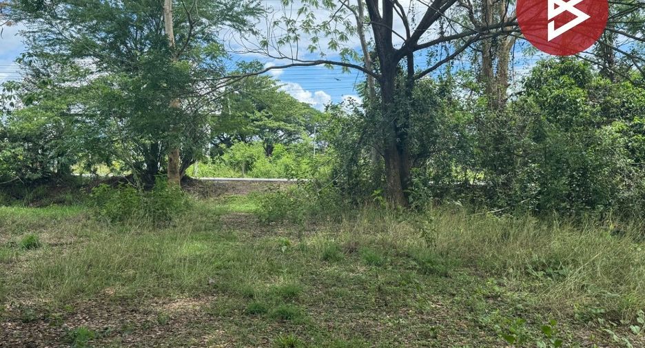 For sale land in Mae Rim, Chiang Mai