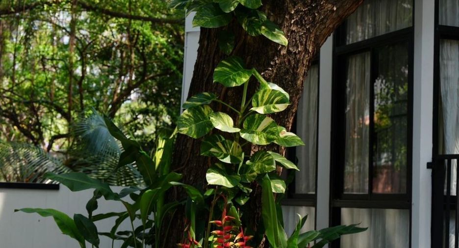For rent 4 bedrooms townhouse in Khlong Toei, Bangkok