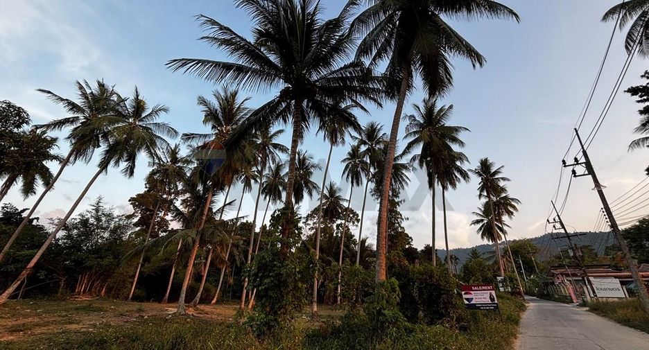 For sale land in Ko Samui, Surat Thani