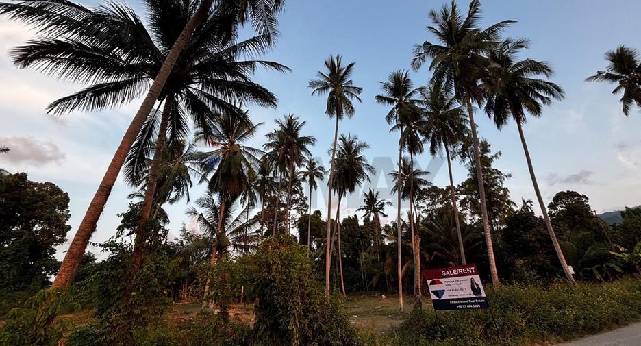 For sale land in Ko Samui, Surat Thani