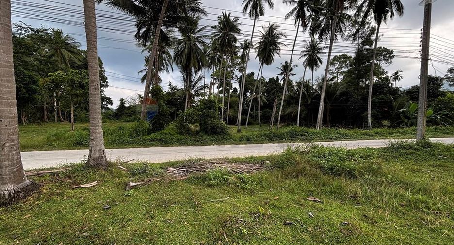 For sale land in Ko Samui, Surat Thani