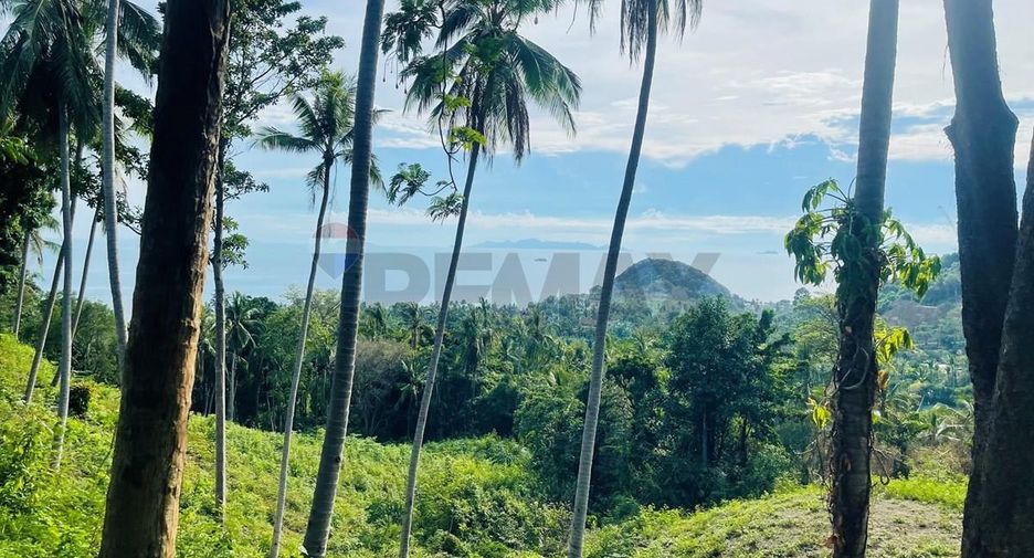 For sale land in Ko Samui, Surat Thani