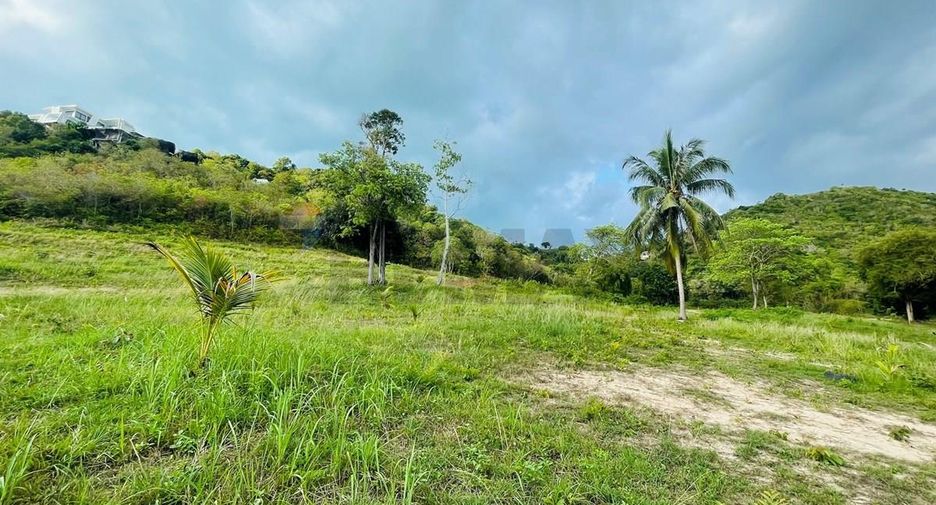 For sale land in Ko Samui, Surat Thani