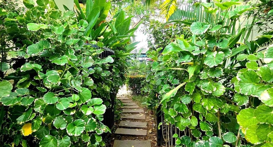 For sale 3 bedrooms villa in Ko Samui, Surat Thani