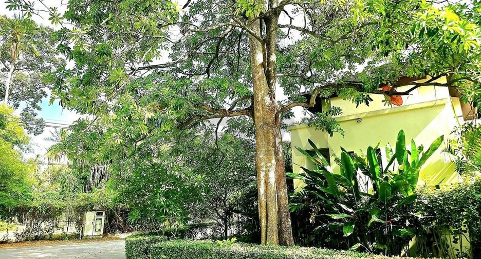 For sale 3 bedrooms villa in Ko Samui, Surat Thani