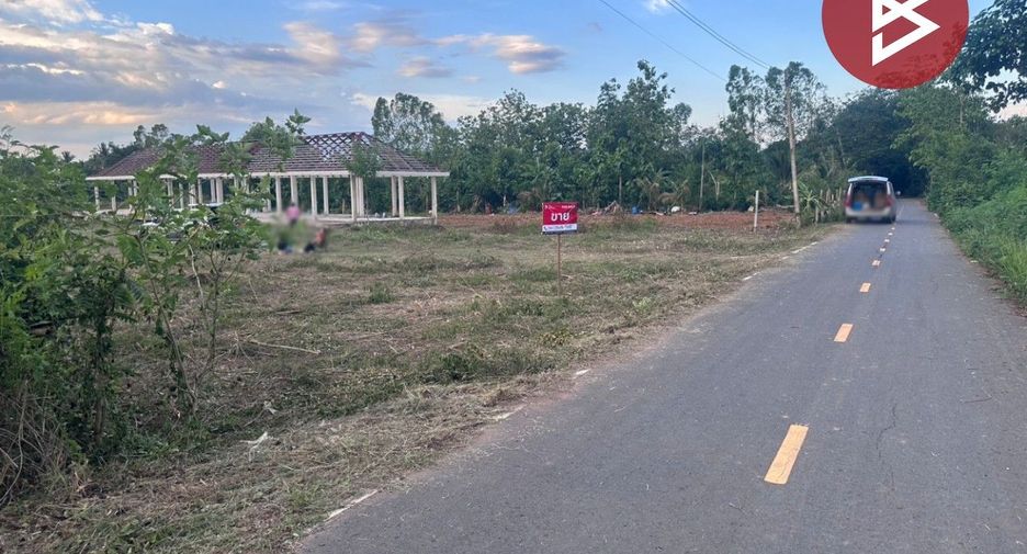 For sale land in Khon San, Chaiyaphum