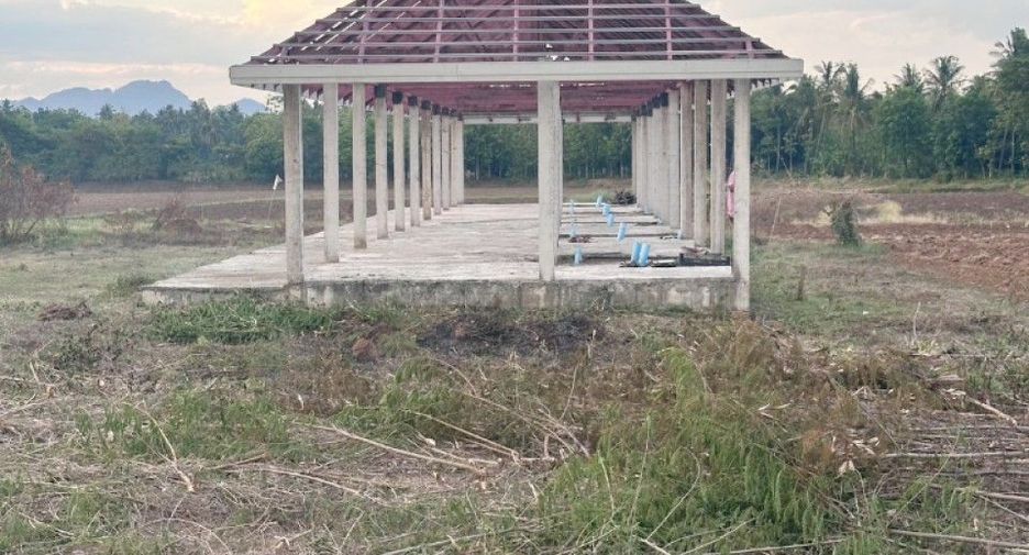 For sale land in Khon San, Chaiyaphum