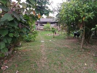 ขาย ที่ดิน ใน เมืองนราธิวาส, นราธิวาส