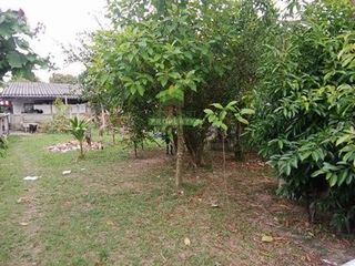 ขาย ที่ดิน ใน เมืองนราธิวาส, นราธิวาส