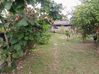 ขาย ที่ดิน ใน เมืองนราธิวาส, นราธิวาส