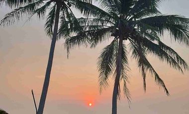 For sale land in Mueang Chumphon, Chumphon