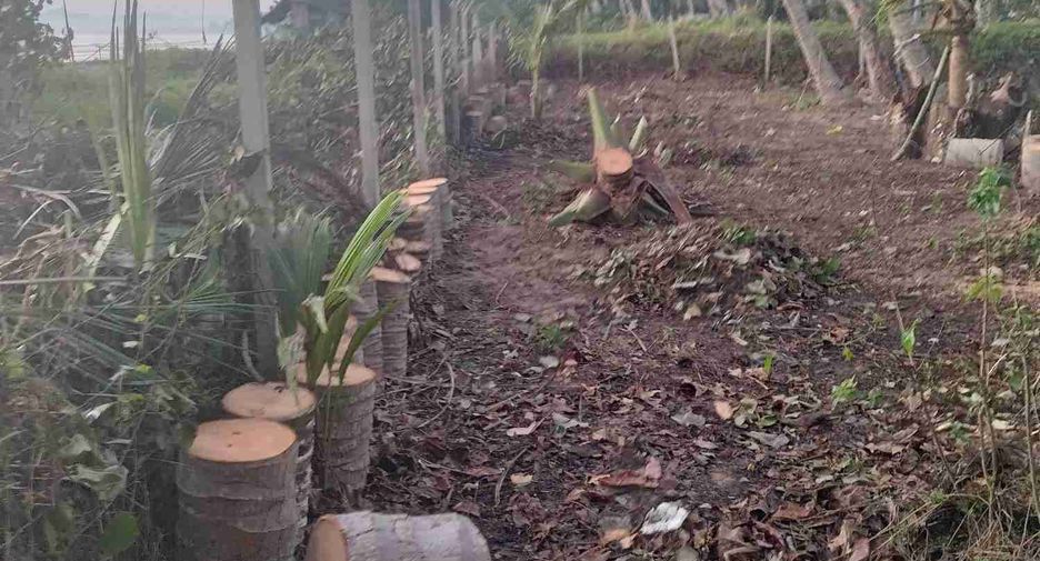 For sale 2 bedrooms house in Mueang Chumphon, Chumphon