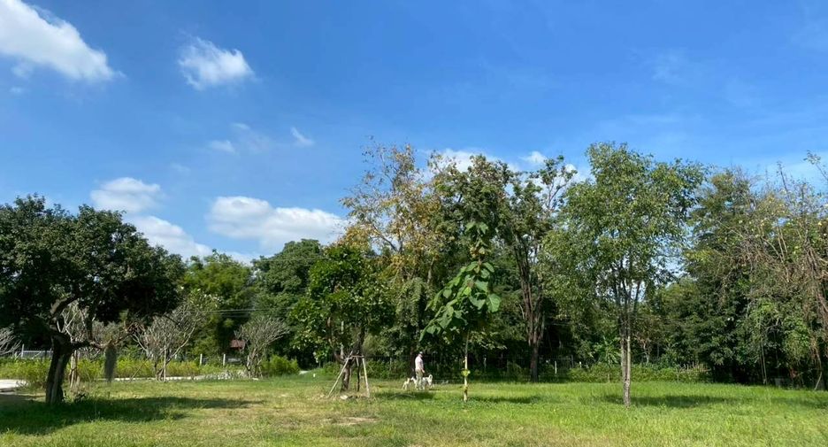 For rent and for sale land in Sikhio, Nakhon Ratchasima