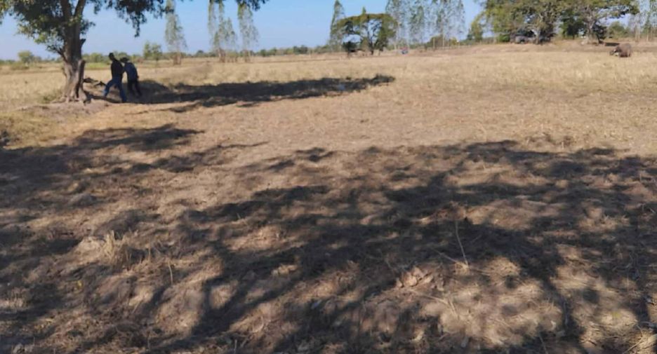 For sale land in Phon Sai, Roi Et
