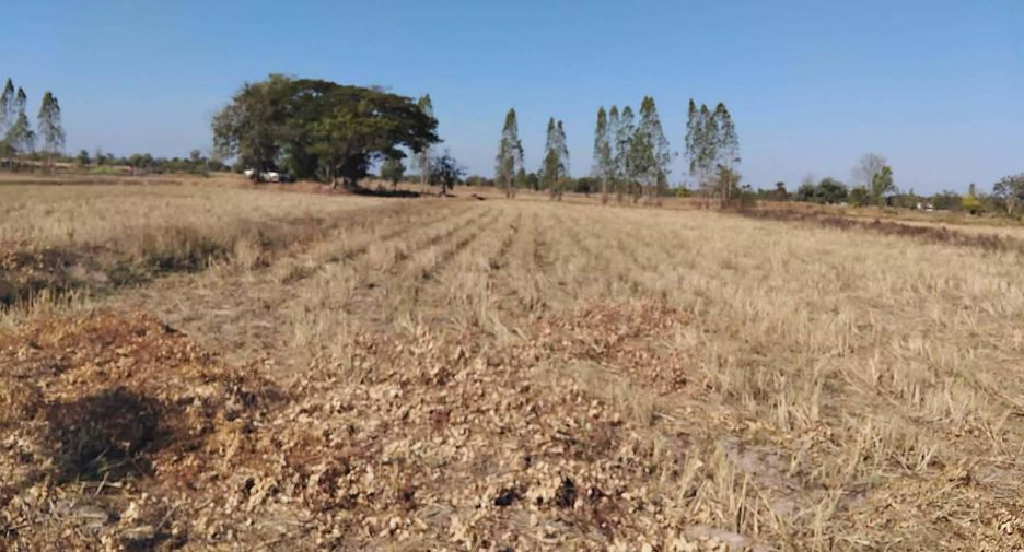 For sale land in Phon Sai, Roi Et