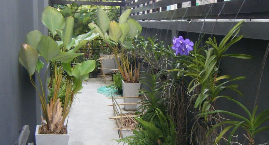 For sale 32 bedrooms apartment in Suan Luang, Bangkok