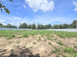 出售 土地 在 Bang Lamung, Chon Buri