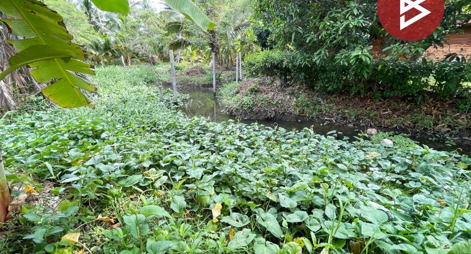 For sale land in Amphawa, Samut Songkhram