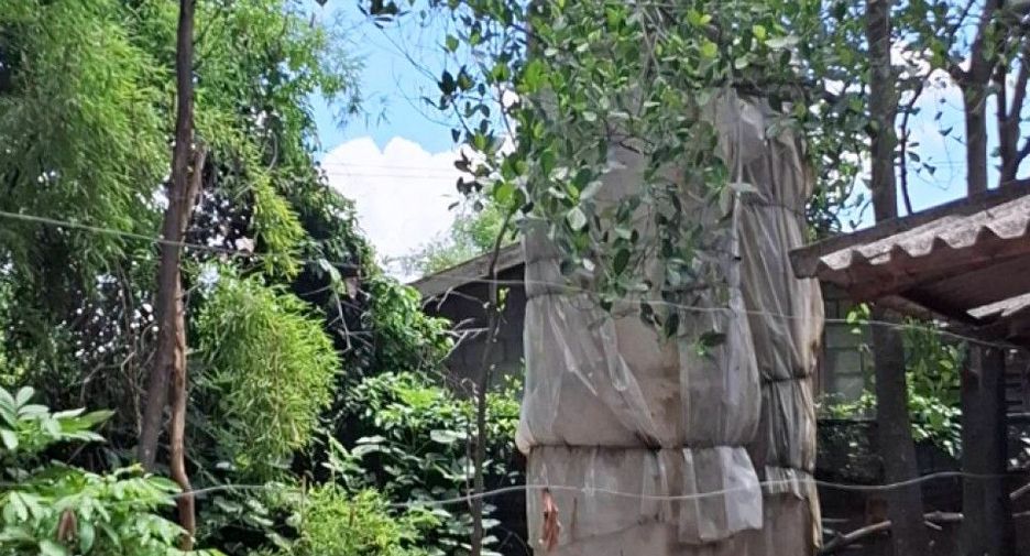 For sale land in Mueang Kanchanaburi, Kanchanaburi