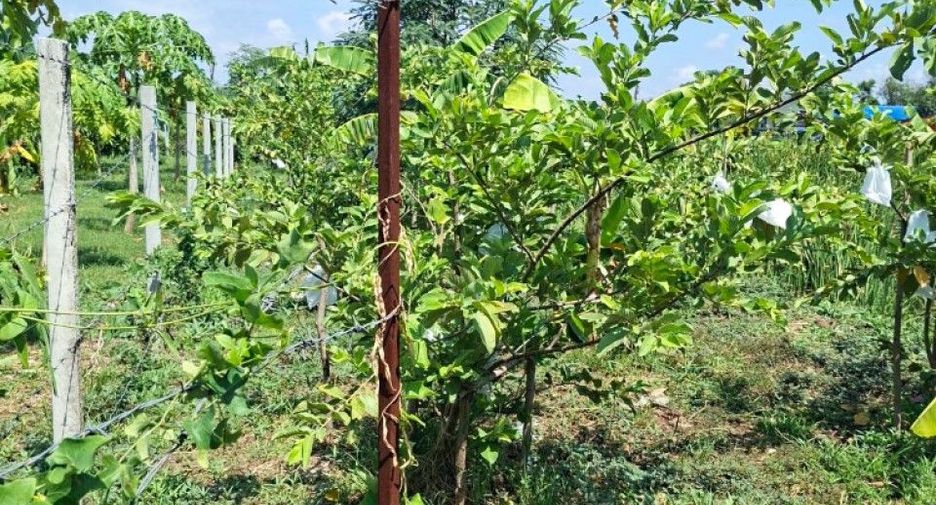 For sale land in Taling Chan, Bangkok