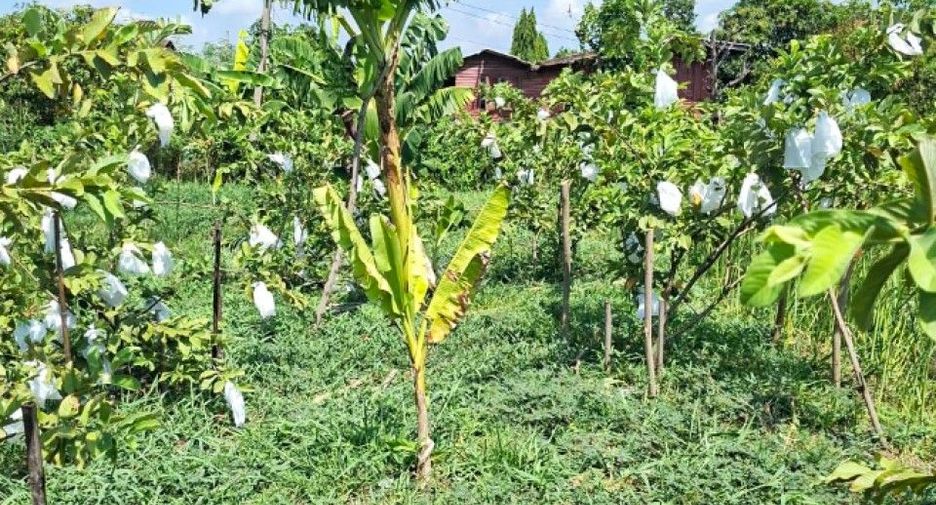 For sale land in Taling Chan, Bangkok