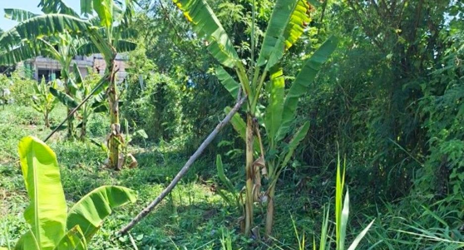 For sale land in Taling Chan, Bangkok